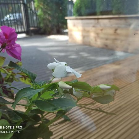 New Big Loft Apartments Jurmala With Free Secured Parking Dış mekan fotoğraf