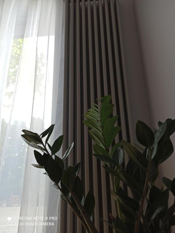 New Big Loft Apartments Jurmala With Free Secured Parking Dış mekan fotoğraf